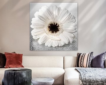Rust: Witte Gerbera met los bloemblaadje met druppels van Marjolijn van den Berg
