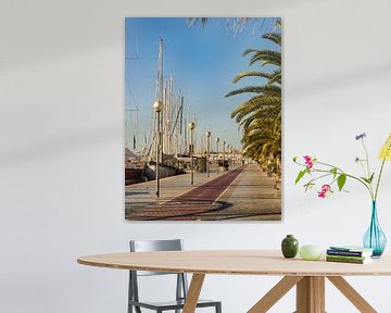 Idyllisch uitzicht op de promenade bij de jachthaven in Palma de Mallorca van Alex Winter