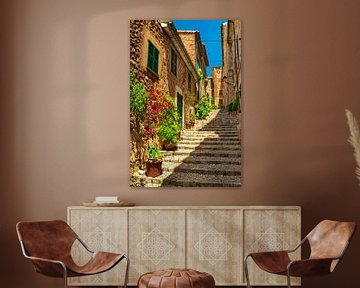 Picturesque street at old village of Fornalutx on Mallorca by Alex Winter