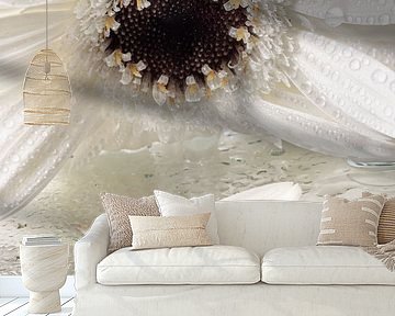 white petal with drop  by Marjolijn van den Berg