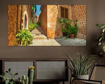 Plant straat panorama in oud dorp Fornalutx, Mallorca van Alex Winter