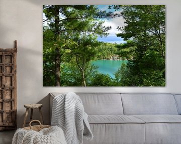 Uitzicht op Pink Lake in Gatineau Park, Ontario van Studio LE-gals