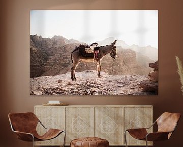 Donkey between the Jordanian mountains by Dayenne van Peperstraten