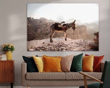 Esel zwischen den jordanischen Bergen von Dayenne van Peperstraten