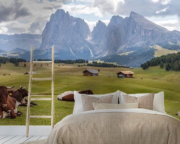 Cows in a green alpine meadow by Menno Schaefer