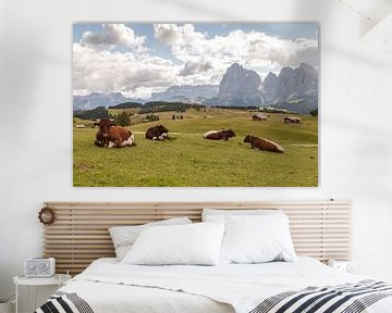 Cows in a green alpine meadow