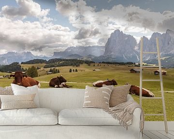 Koeien in een groene alpenweide