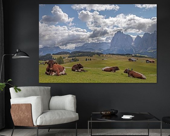 Aperçu de la chambre