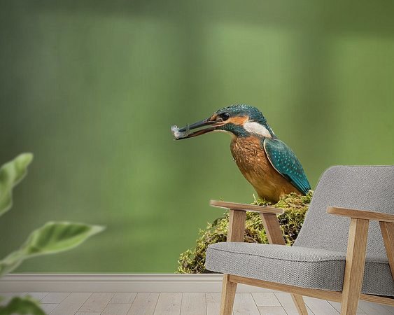 Aperçu de la chambre