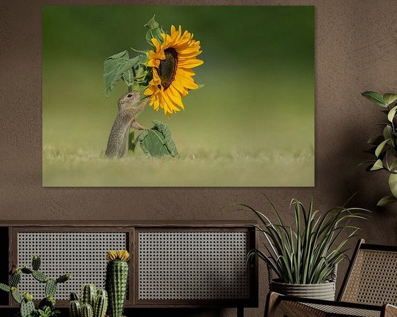 Voorbeeld van het werk in een kamer