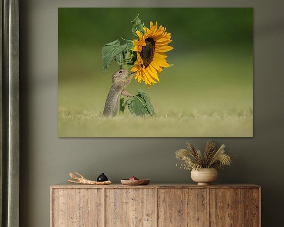 Voorbeeld van het werk in een kamer