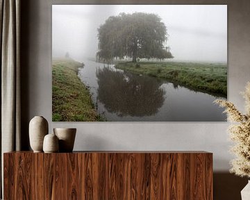 Beau saule pleureur (arbre) dans le brouillard aux Pays-Bas sur Esther Wagensveld