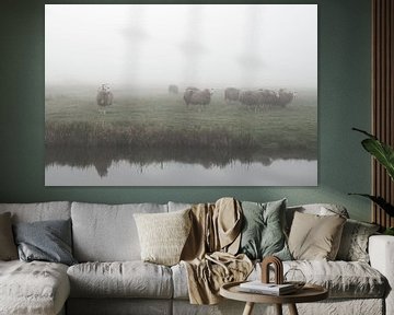 Schafe im Nebel auf einer Wiese (Niederlande) von Esther Wagensveld