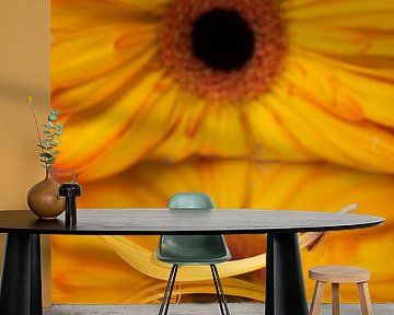 petal with drop (and yellow Gerbera in the background) by Marjolijn van den Berg