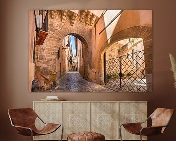 Idyllische smalle straat in het oude historische centrum van Palma de Mallorca van Alex Winter