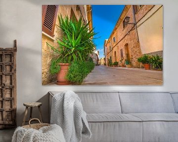 Straat met potplanten in de oude stad van Alcudia, Mallorca, Spanje van Alex Winter