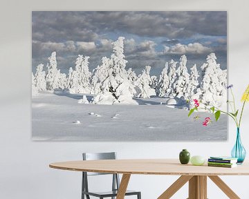 Winterlandschaft auf dem Brocken,Harz