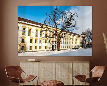 Residenz Kempten im Allgäu im Winter mit kahlem Baum von Dieter Walther