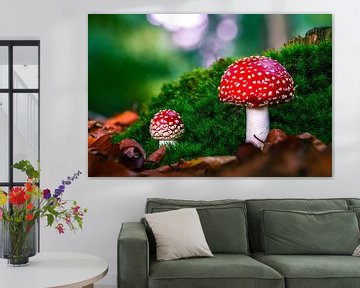 Fly Agaric by John Goossens Photography