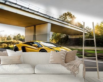 Lamborghini Aventador LP700-4 Mansory by Bas Fransen