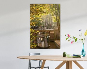 Autumnal walk through utrecht by zeilstrafotografie.nl