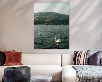 Der romantische Schwan am Comer See | Reisefotografie Druck von Ezme Hetharia