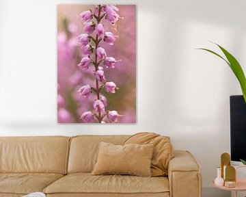 natuurfoto van heidebloemen | fine art macro fotografie
