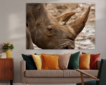 Rhinoceros by Sammy de With