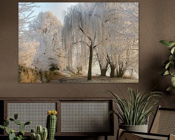 bomen met rijp in de zon in de winter van Joachim Küster