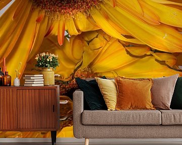 Yellow Gerbera looks at mirror image (with drops) by Marjolijn van den Berg