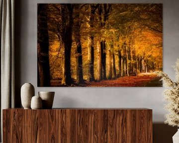 Autumn in Drenthe by Ton Drijfhamer