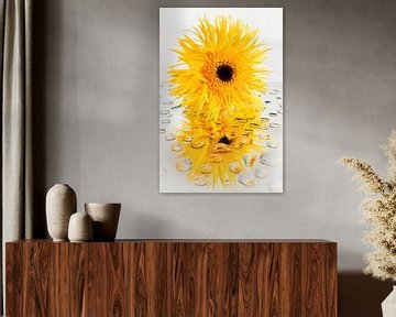 Yellow sunny Gerbera by Marjolijn van den Berg