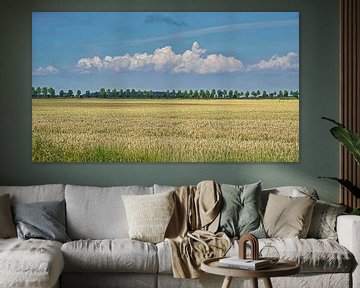 Wolkenband boven zomerse akker met goudgele tarwe van Gert van Santen