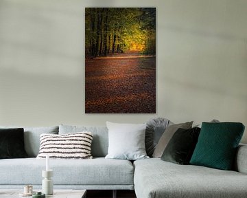 Herfst in het Hart van Drenthe van Henk Meijer Photography
