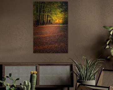 Herfst in het Hart van Drenthe van Henk Meijer Photography