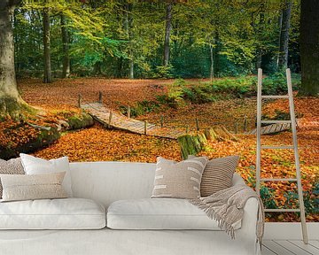 Herfst op Landgoed de Braak van Henk Meijer Photography