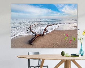 Tree trunk on the west beach on Fischland-Darß