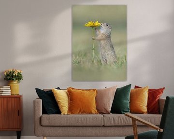Squirrel smells flower by Dick van Duijn