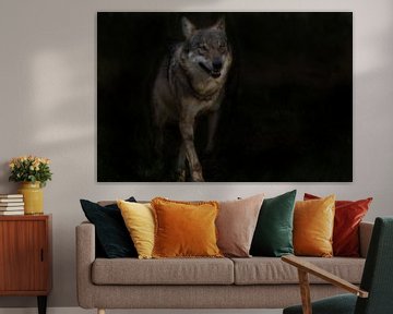 Wolf, Europese wolf van Gert Hilbink