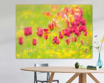 Meadow with tulips by ManfredFotos