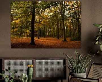 Herbst im Warandebos, Tilburg von Nynke Altenburg