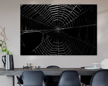 Spinnennetz von Thomas Heitz