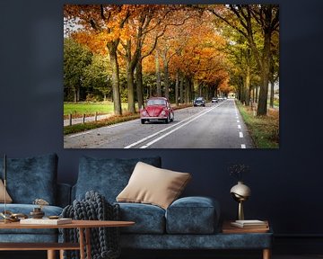 Classic cars during autumn by Sem Wijnhoven