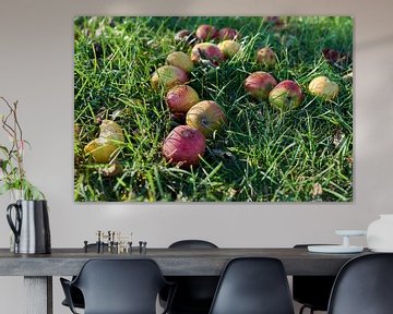 Apples on a meadow orchard by Heiko Kueverling