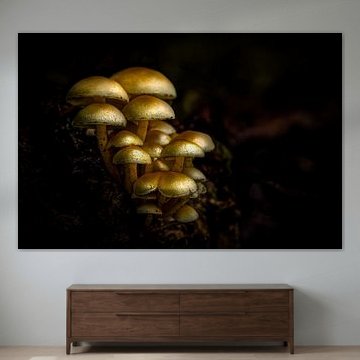 Der Herbst zeigt sich von seiner besten Seite