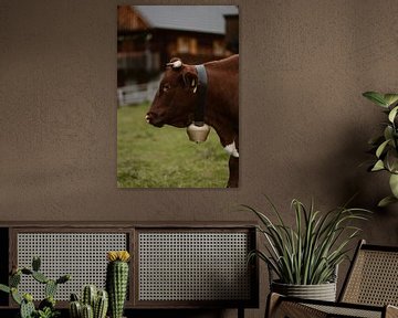 Oostenrijkse koe met koebel van Christien Hoekstra