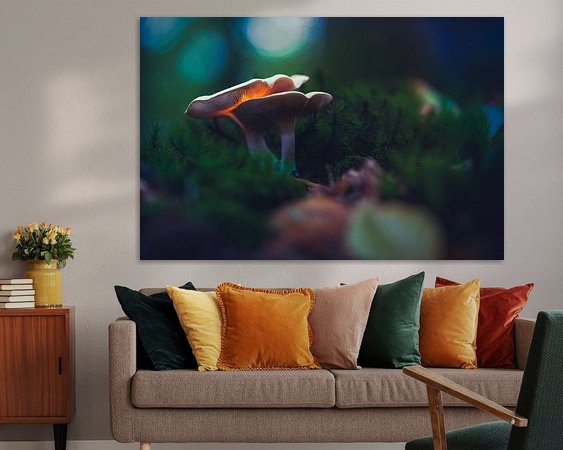 Aperçu de la chambre