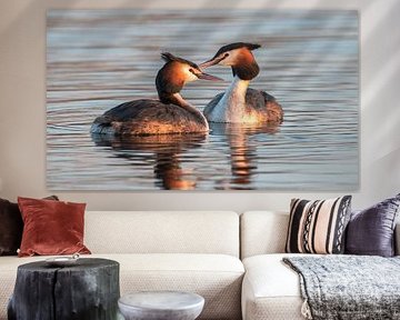 2 verliebte Haubentaucher von Sjardee Visser