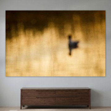 Lachmöwe Zusammenfassung von Hans Debruyne