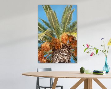 Palmboom met rijpende dadels van Margot van den Berg